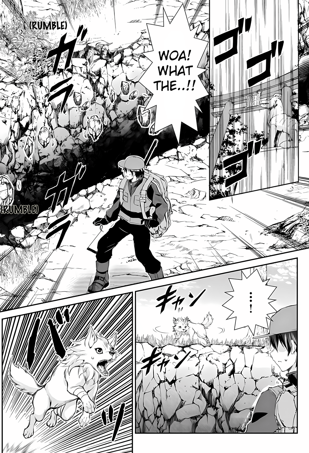 Take Good Care of What You Pick Up A Man Favored by a Wolf Pup: A Story of His Journey to Another World Chapter 1 Page 11