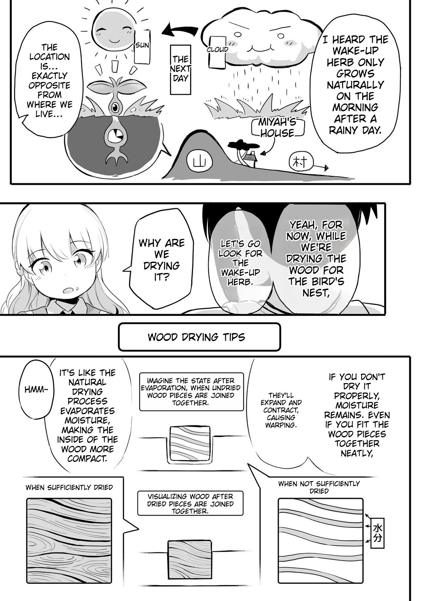 The Carpenter Girl and the Little Shota Raccoon's Slow Life on a Small Island in Another World Chapter 4 Page 22