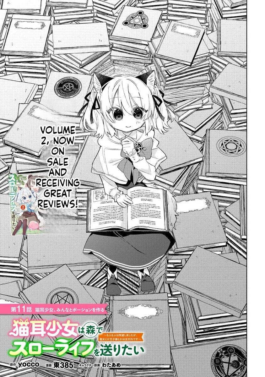 The Cat-Eared Girl Wants to Live a Slow Life in the Forest: I Wanted Something Fluffy, but I didn't Ask for a Saintess or a Prince Chapter 11 Page 2