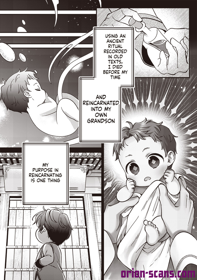 The Emperor Reincarnated as the Emperor's Grandson Chapter 8 Page 4